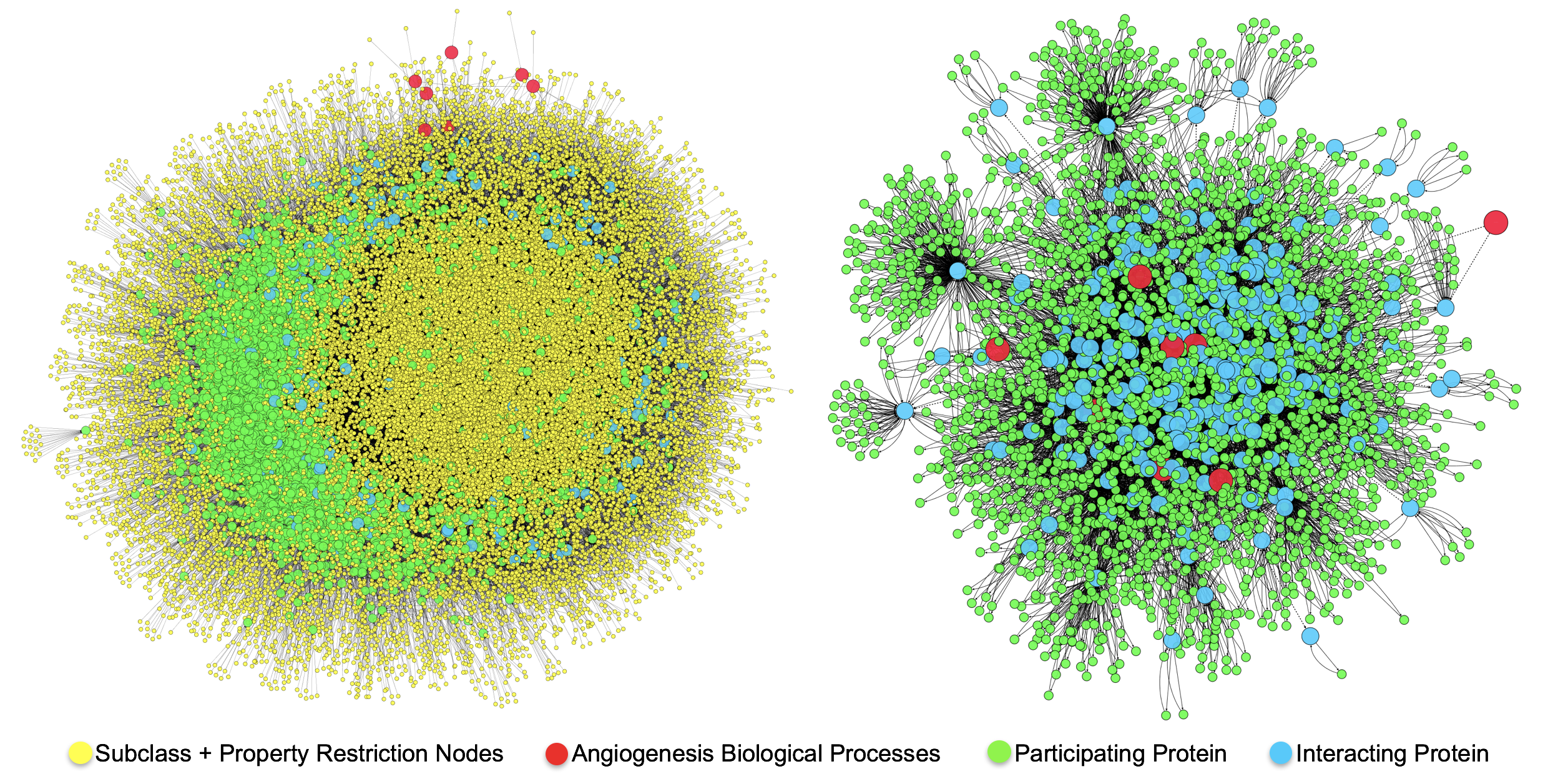 OWL + OWL-NETS Representation